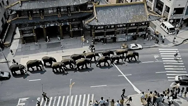 图片 (640x360)